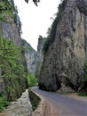 Vertical shot of Bicaz Gorges in Romania