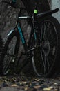 Vertical shot of a bicycle locked to a tree in the park