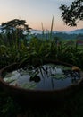 Vertical shot of a big pot with water surrounded by plants in Bali, Indonesia