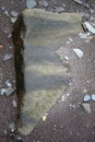 Vertical shot of a big stone on a coastal beach near Joggins in Cumberland County, Canada