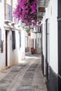 Vertical shot of a bike in a narrow street between white houses decorated with purple flowers Royalty Free Stock Photo