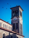 Vertical shot of birds flying over old church tower against a blue sky in Nantes, France Royalty Free Stock Photo