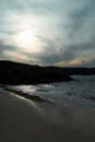 Vertical shot of the birds flying under the clouded sky over the beach Royalty Free Stock Photo