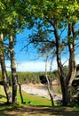 Vertical shot of Black Brook Cove Beach along the Cabot Trail. Cape Breton, Nova Scotia, Canada. Royalty Free Stock Photo