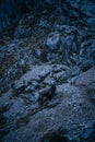Vertical shot of a black sheep standing in the mountains in the dark Royalty Free Stock Photo