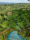 Vertical shot of blue narrow steep stairs surrounded by green forest, Chittagong, Bangladesh