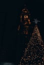 Vertical shot of the Boston Christmas tree in Boston, Massachusetts during nighttime