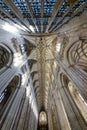 Vertical shot from the bottom of the ceiling of Winchester Cathedral. Royalty Free Stock Photo