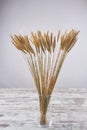 Vertical shot of bouquet of cereal grains of wheat in the glass vase.