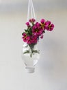 Vertical Shot Of A Bouquet Of Pink Flowers In A Bottle Vase