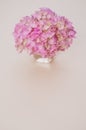 Vertical shot of a bouquet of pink hydrangeas in a vase on a beige surface with space for text Royalty Free Stock Photo