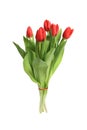 Vertical shot of a bouquet of red tulips isolated on a white background