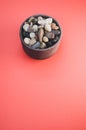 Vertical shot of a bowl filled with rocks and pebbles Royalty Free Stock Photo