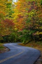 Vertical shot of breathtaking road surrounded by beautiful and colorful autumn trees
