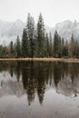 Vertical shot of breathtaking Yosemite National Park scenery in California, USA