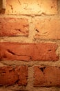 Vertical shot of a brick wall Royalty Free Stock Photo