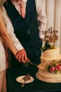 Vertical shot of a bride and groom cutting a decorative wedding cake together