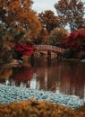 Vertical shot of a bridge at St. Louis botanical gardens with autumn trees Royalty Free Stock Photo