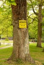 Vertical shot of bright yellow warning sign on tree saying Caution, Use At Own Risk in the park Royalty Free Stock Photo