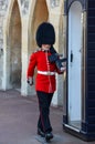 Vertical shot of a british guard walking and carrying a weapon, with a red uniform.