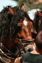 Vertical shot of brown pureblood horses in a zoo Royalty Free Stock Photo