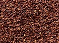 Vertical shot of brown Sesame Seeds Royalty Free Stock Photo