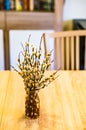 Vertical shot of a bunch of fluffy willow salix catkins branches on the table