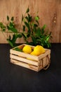 Vertical shot of a bunch of lemons in a wooden basket Royalty Free Stock Photo