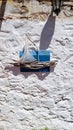 Bunch of small tree branches on the whitewashed wall of an old house in Skiathos, Greece Royalty Free Stock Photo
