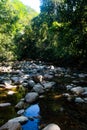 Vertical shot Buritaca river on the way with crystal clear waters to lost city Royalty Free Stock Photo