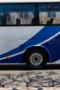 Vertical shot of bus with a shadow of branches on the ground