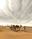 Vertical shot of camels walking in the desert with their owner under the gray cloudy sky