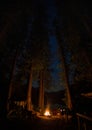 Vertical shot of a campfire site in the woods at night Royalty Free Stock Photo