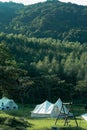 Vertical shot of camping tents in the green forest