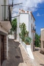 Vertical shot of Eivissa historic streets, Ibiza, with white buildings and cacti