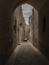 Vertical shot of a car parked on a narrow pathway in the middle of buildings