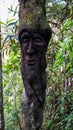 Vertical shot of a carved face on a trunk Royalty Free Stock Photo