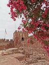 Vertical shot of The Castle of Silves, Portugal with a pink flowered tree in focus