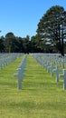 Vertical shot of a cemetery featuring multiple rows of crosses in Normandie