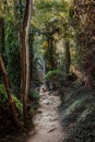 Vertical shot of a child in the middle of a dirt foot trail in a forest in Paphos, Cyprus