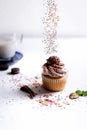 Vertical shot of a chocolate cupcake and sprinkles pouring from top Royalty Free Stock Photo