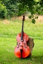 Vertical shot of the Classic wooden cello in the garden Royalty Free Stock Photo