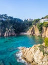 Vertical shot of the cliff by the ocean captured in Blanes, Costa Brav