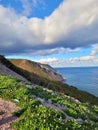 Vertical shot of the cliffs and sea. Cape Breton Highlands, Nova Scotia, Canada. Royalty Free Stock Photo