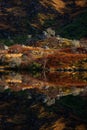 Vertical shot of a coastline reflecting in a pond in a forest