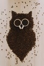 Vertical shot of coffee beans and two cups of coffee shaped like an owl