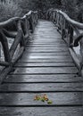 Vertical shot of colorful autumn leaves on a grayscale wooden bridge