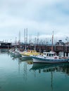 Vertical shot of the colorful ships parked at the San Francisco Bay