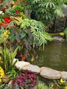 Vertical shot of colorful tropical plants and flowers in pots around a small pond in a garden Royalty Free Stock Photo