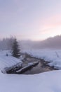 Vertical shot of a colorful Winter sunset enveloped in fog at Gold Creek, Washington Royalty Free Stock Photo